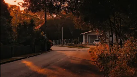 Uma curva na estrada recebe a luz dourada do fim do dia.