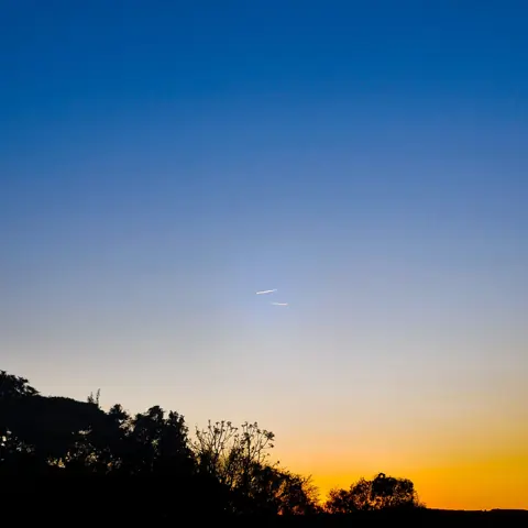 O céu passa do azul ao laranja acima da linha das árvores.